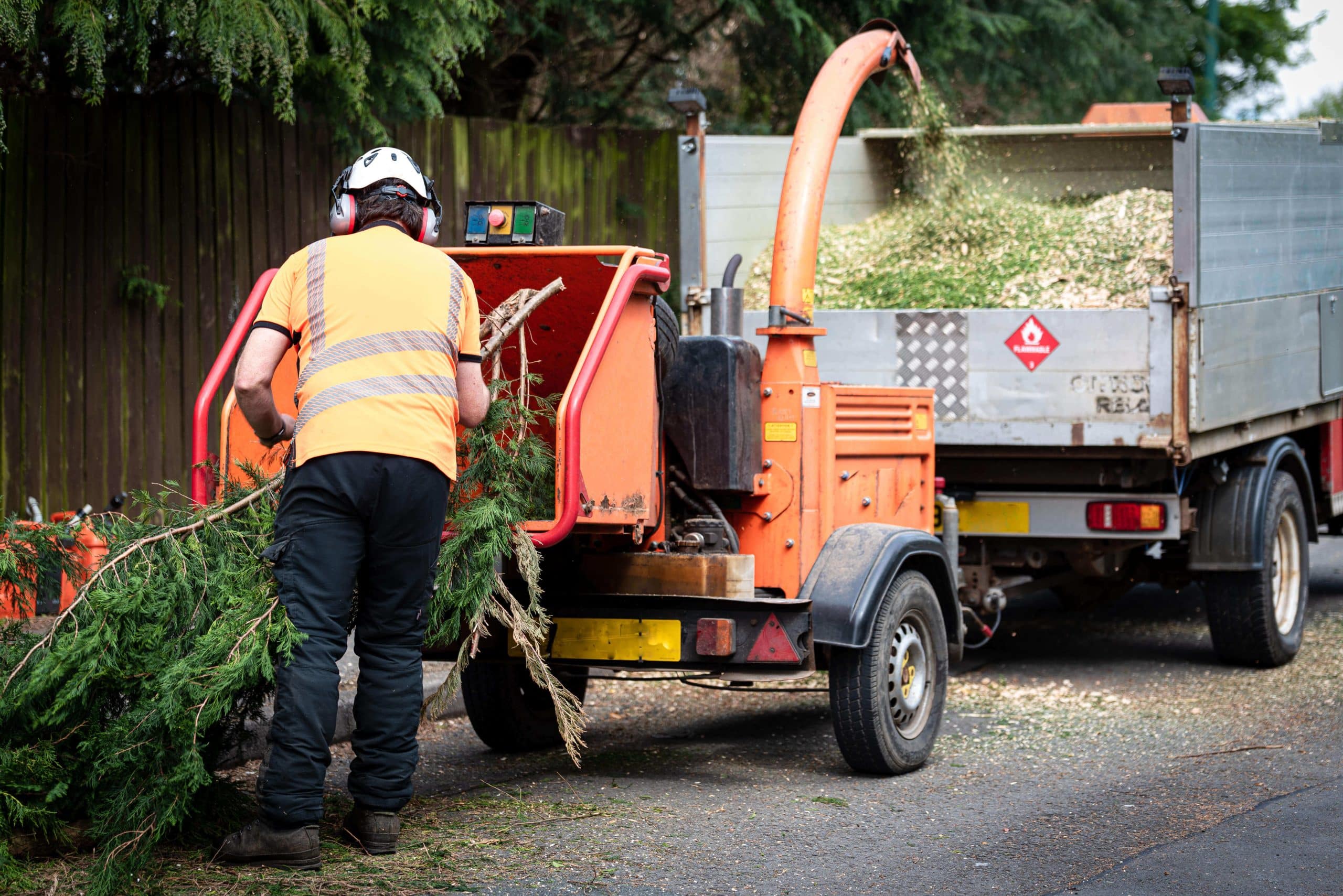 Tree Stump Grinding/Removal Fulham SW6
